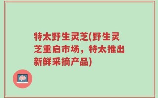 特太野生灵芝(野生灵芝重启市场，特太推出新鲜采摘产品)