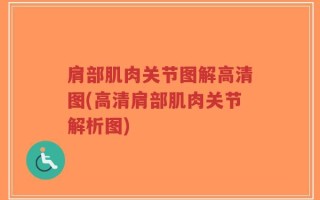 肩部肌肉关节图解高清图(高清肩部肌肉关节解析图)