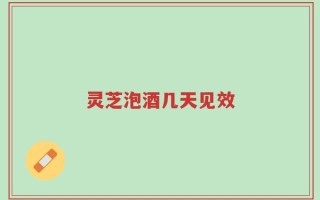 灵芝泡酒几天见效