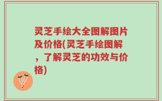 灵芝手绘大全图解图片及价格(灵芝手绘图解，了解灵芝的功效与价格)