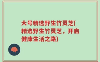 大号精选野生竹灵芝(精选野生竹灵芝，开启健康生活之路)