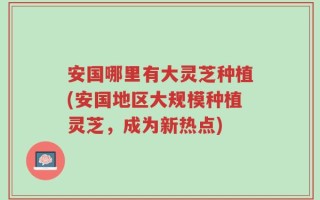 安国哪里有大灵芝种植(安国地区大规模种植灵芝，成为新热点)
