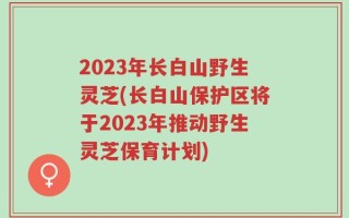 2023年长白山野生灵芝(长白山保护区将于2023年推动野生灵芝保育计划)