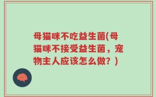 母猫咪不吃益生菌(母猫咪不接受益生菌，宠物主人应该怎么做？)