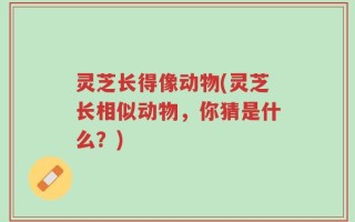 灵芝长得像动物(灵芝长相似动物，你猜是什么？)