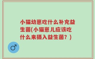 小猫幼崽吃什么补充益生菌(小猫崽儿应该吃什么来摄入益生菌？)