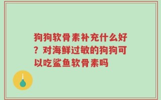 狗狗软骨素补充什么好？对海鲜过敏的狗狗可以吃鲨鱼软骨素吗