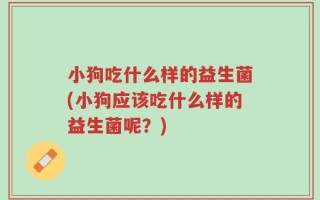 小狗吃什么样的益生菌(小狗应该吃什么样的益生菌呢？)