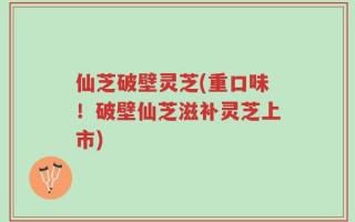 仙芝破壁灵芝(重口味！破壁仙芝滋补灵芝上市)