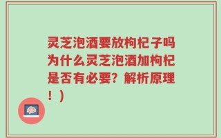 灵芝泡酒要放枸杞子吗为什么灵芝泡酒加枸杞是否有必要？解析原理！)
