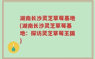 湖南长沙灵芝草莓基地(湖南长沙灵芝草莓基地：探访灵芝草莓王国)