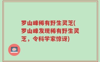 罗山峰稀有野生灵芝(罗山峰发现稀有野生灵芝，令科学家惊讶)
