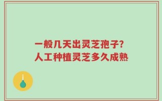 一般几天出灵芝孢子？人工种植灵芝多久成熟