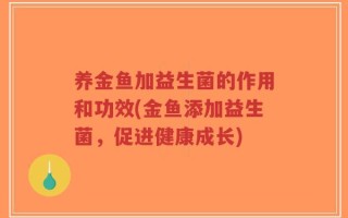 养金鱼加益生菌的作用和功效(金鱼添加益生菌，促进健康成长)