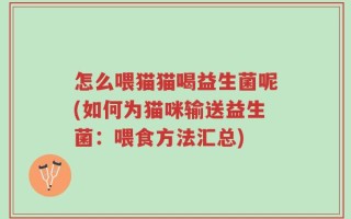 怎么喂猫猫喝益生菌呢(如何为猫咪输送益生菌：喂食方法汇总)