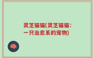 灵芝猫猫(灵芝猫猫：一只治愈系的宠物)