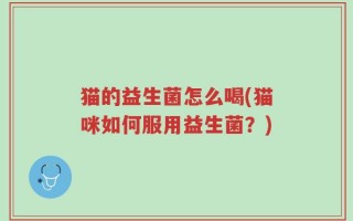 猫的益生菌怎么喝(猫咪如何服用益生菌？)