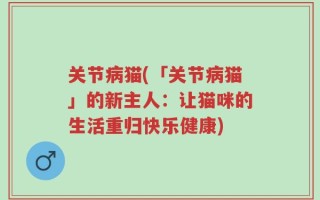 关节病猫(「关节病猫」的新主人：让猫咪的生活重归快乐健康)