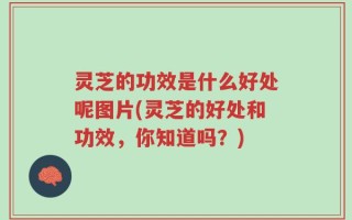 灵芝的功效是什么好处呢图片(灵芝的好处和功效，你知道吗？)