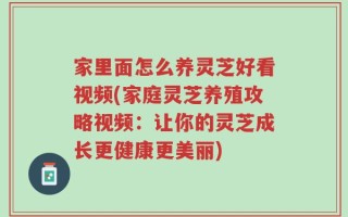 家里面怎么养灵芝好看视频(家庭灵芝养殖攻略视频：让你的灵芝成长更健康更美丽)