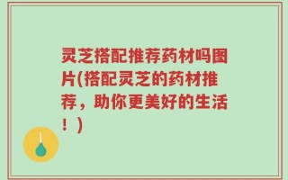 灵芝搭配推荐药材吗图片(搭配灵芝的药材推荐，助你更美好的生活！)