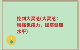 挖到大灵芝(大灵芝：增强免疫力，提高健康水平)