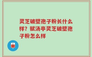 灵芝破壁孢子粉长什么样？赋汤亭灵芝破壁孢子粉怎么样