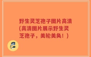 野生灵芝孢子图片高清(高清图片展示野生灵芝孢子，美轮美奂！)