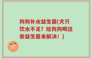 狗狗补水益生菌(犬只饮水不足？给狗狗喝这些益生菌来解决！)