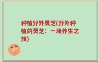 种植野外灵芝(野外种植的灵芝：一场养生之旅)