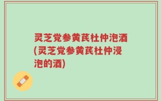 灵芝党参黄芪杜仲泡酒(灵芝党参黄芪杜仲浸泡的酒)