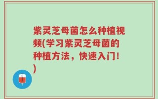 紫灵芝母菌怎么种植视频(学习紫灵芝母菌的种植方法，快速入门！)
