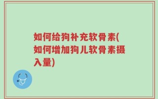 如何给狗补充软骨素(如何增加狗儿软骨素摄入量)