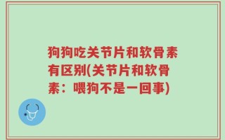 狗狗吃关节片和软骨素有区别(关节片和软骨素：喂狗不是一回事)