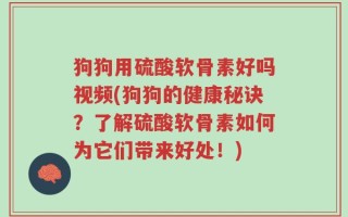 狗狗用硫酸软骨素好吗视频(狗狗的健康秘诀？了解硫酸软骨素如何为它们带来好处！)