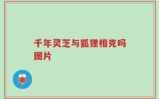 千年灵芝与狐狸相克吗图片