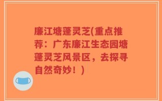 廉江塘蓬灵芝(重点推荐：广东廉江生态园塘蓬灵芝风景区，去探寻自然奇妙！)