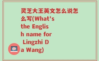 灵芝大王英文怎么说怎么写(What's the English name for Lingzhi Da Wang)