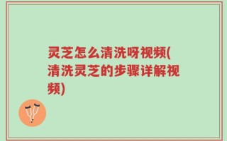 灵芝怎么清洗呀视频(清洗灵芝的步骤详解视频)