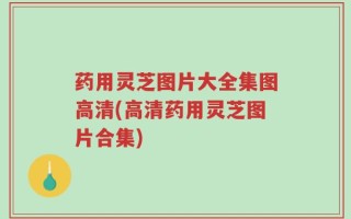 药用灵芝图片大全集图高清(高清药用灵芝图片合集)