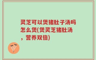 灵芝可以煲猪肚子汤吗怎么煲(煲灵芝猪肚汤，营养双倍)