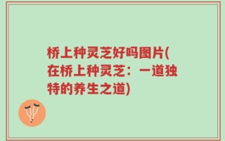 桥上种灵芝好吗图片(在桥上种灵芝：一道独特的养生之道)