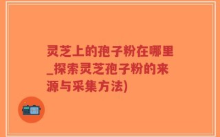 灵芝上的孢子粉在哪里_探索灵芝孢子粉的来源与采集方法)
