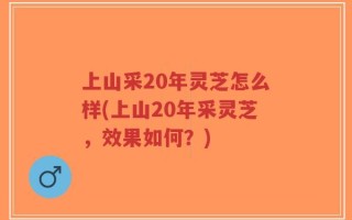 上山采20年灵芝怎么样(上山20年采灵芝，效果如何？)