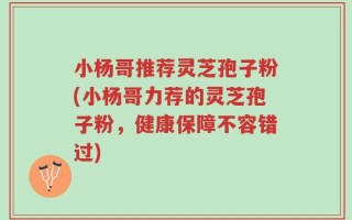 小杨哥推荐灵芝孢子粉(小杨哥力荐的灵芝孢子粉，健康保障不容错过)