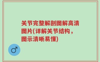 关节完整解剖图解高清图片(详解关节结构，图示清晰易懂)