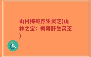 山村梅哥野生灵芝(山林之宝：梅哥野生灵芝)