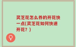 灵芝花怎么养的开花快一点(灵芝花如何快速开花？)