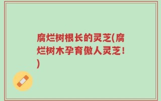 腐烂树根长的灵芝(腐烂树木孕育傲人灵芝！)