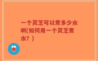 一个灵芝可以煮多少水啊(如何用一个灵芝煮水？)